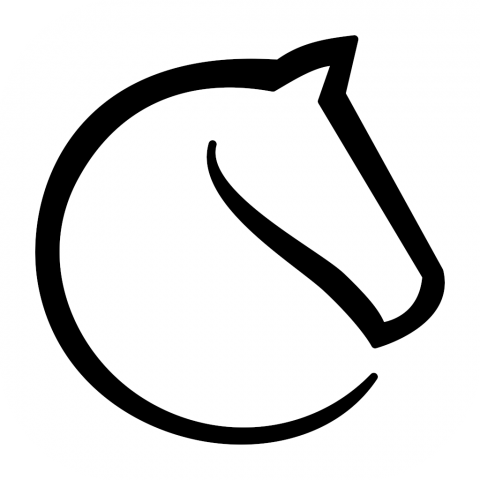 Klubbmesterskapet i hurtigsjakk spilles på lichess.org